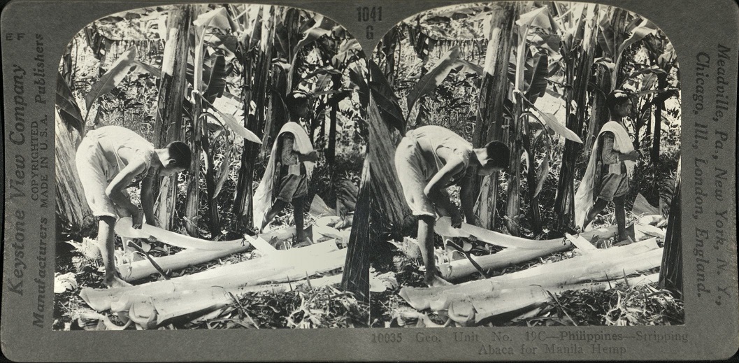 Geo. Unit No. 19C – Philippines – Stripping Abaca for Manila Hemp.